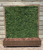 scheidingswand summer 4 met buxus planten  